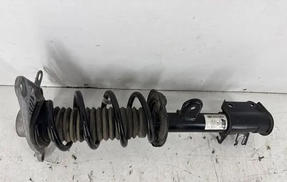 Dodge Hornet Rear shock absorber with coil spring 00505745260 00505744160 68700006AA