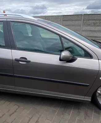 Peugeot 407 Front door