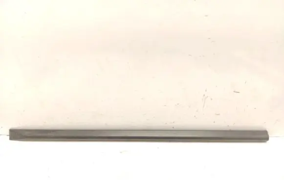 Front door trim (molding)