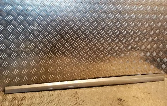 Mercedes-Benz C W203 Front door trim (molding) 2036902982