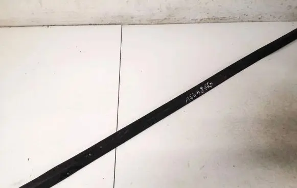 Ford Focus Front door glass trim molding 4m51a20562