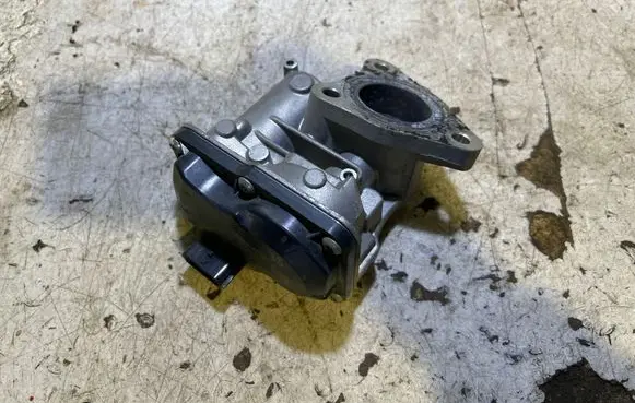 EGR valve