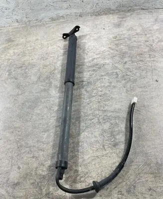 Toyota RAV 4 (XA50) Tailgate/trunk strut/damper 6892042020 3011310413