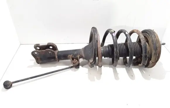 Hyundai Santa Fe Front shock absorber/damper