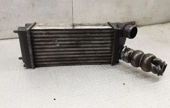 Peugeot 307 Intercooler radiator 876923JF