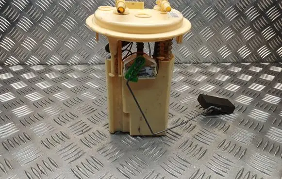 Citroen C5 In-tank fuel pump 9722029900