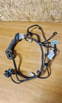 Chevrolet Epica Rear door wiring loom 850088