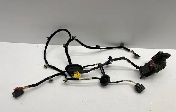 Volkswagen PASSAT B7 Front door wiring loom 3AC971121R 987623301 TAB016297FF