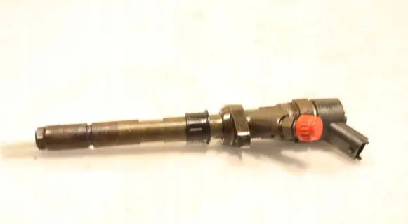 Citroen C5 Fuel injector 0445110036
