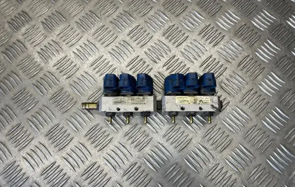 Citroen C5 LP gas injector 67R014303 110R004304