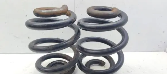 Rear coil spring
