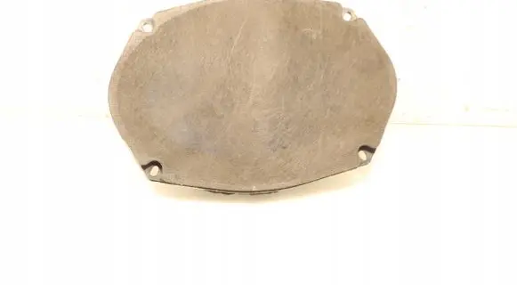 Rear door speaker