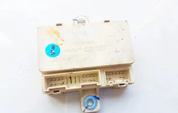 KIA Sportage Other control units/modules 919401f010 91940-1f010