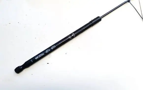 Tailgate/trunk strut/damper