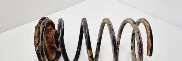 KIA Carnival Front coil spring