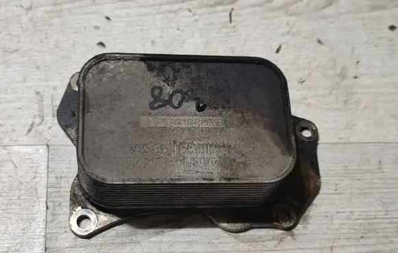 Peugeot 308 Engine oil radiator 1193138S02 14705419