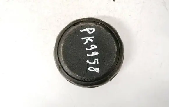 Renault Laguna III Other interior part