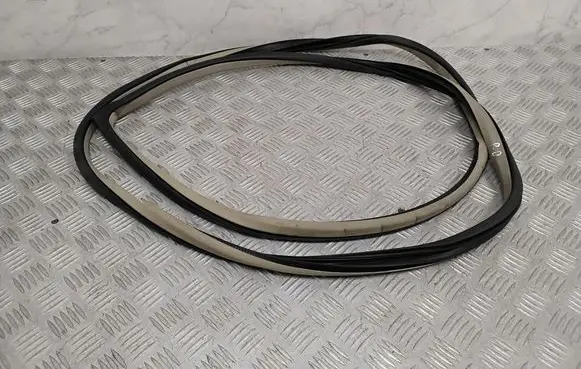 Nissan Murano Z51 Front door rubber seal