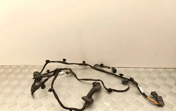 Volvo EX30 Rear door wiring loom P8894544466