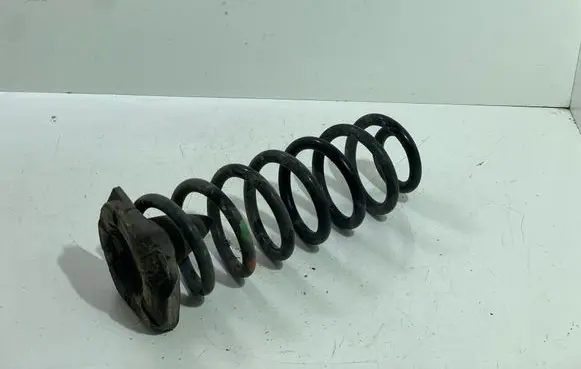 Rear coil spring