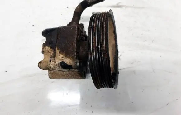 Suzuki Grand Vitara II Power steering pump 4910067J00 78064081