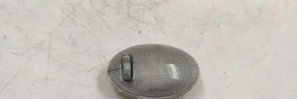 Rear seat light