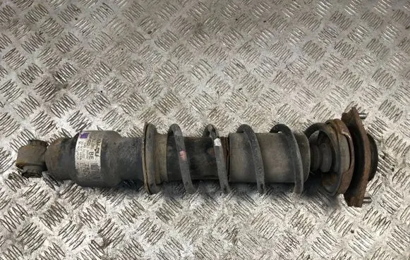 Subaru Outback Rear shock absorber with coil spring 20365AJ063
