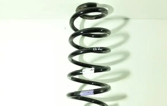 Rear coil spring