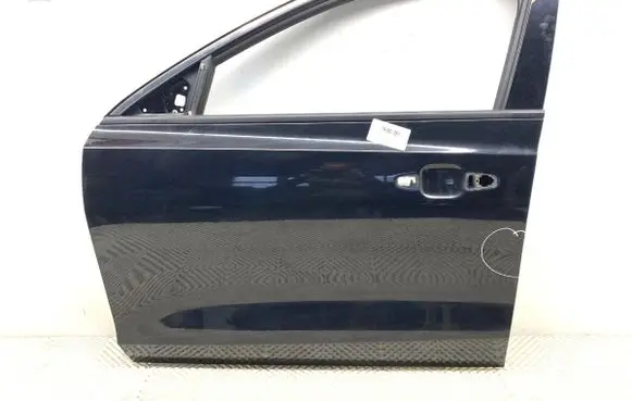 Ford Focus Front door 