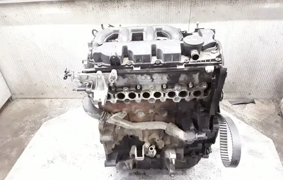 Ford Focus Engine