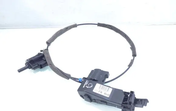 Ford Kuga III Front door check strap stopper LV4BS201A56AA 0104132421X