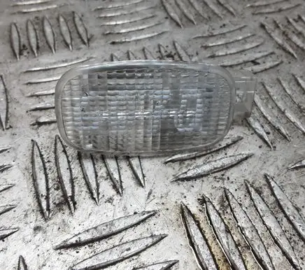 Front fender indicator light