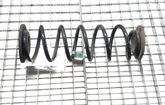 Rear coil spring