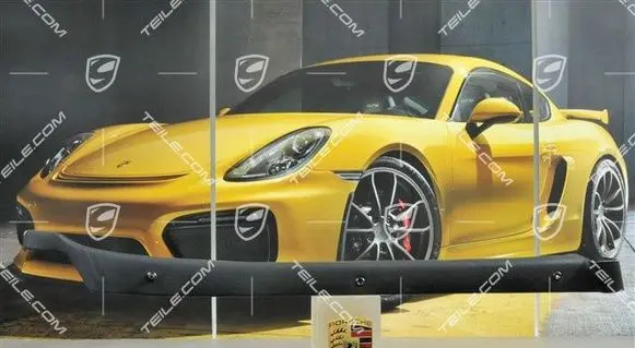 Porsche 911 964 Parcel shelf load cover 964555091021KX