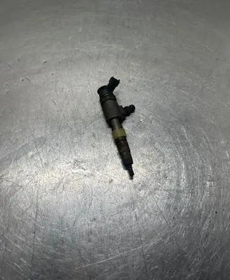 Citroen C3 Fuel injector 0445110339