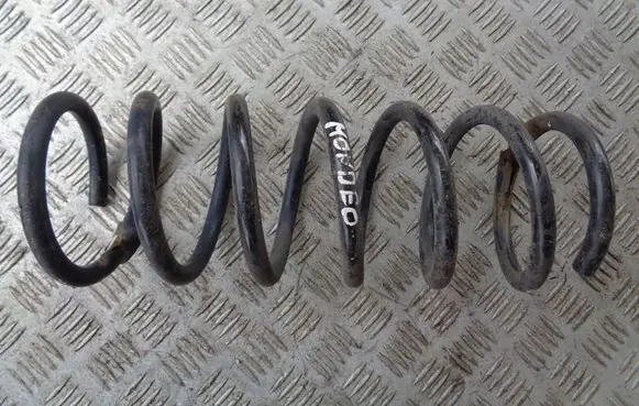 Rear coil spring