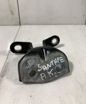 Hyundai Santa Fe Rear door upper hinge