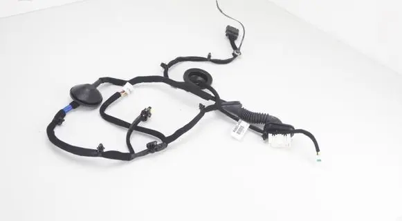 KIA Niro Rear door wiring loom 91620-G5020