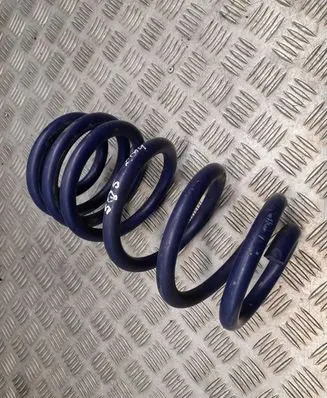 Audi Q5 SQ5 Rear coil spring