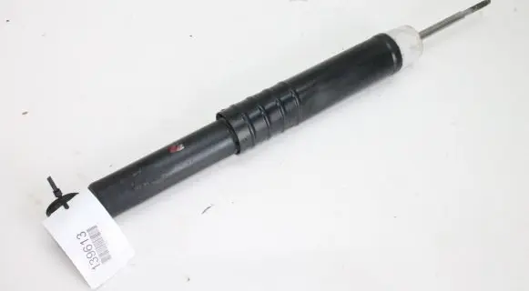 Renault Zoe Rear shock absorber/damper 562102552R
