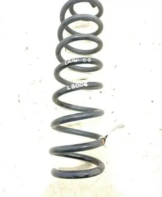 Rear coil spring
