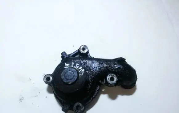 Ford Fiesta Water pump