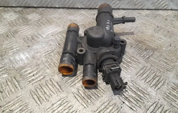 Thermostat/thermostat housing