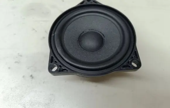 Tesla Model Y Panel speaker 107974200B 10984405 01122204W12A