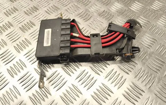 Renault Megane III Positive wiring loom 243170003R 030088801