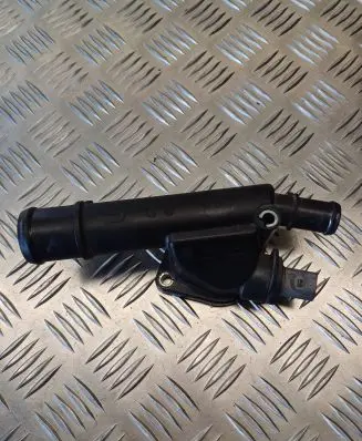 Thermostat/thermostat housing