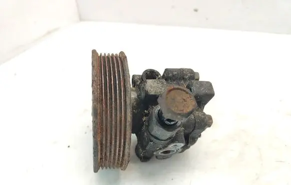 Hyundai Santa Fe Power steering pump