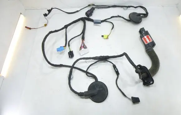Front door wiring loom