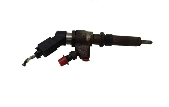 Peugeot 307 Fuel injector 9636819380