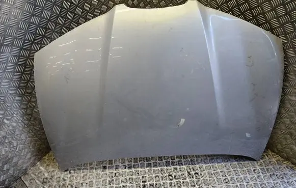 Engine bonnet/hood